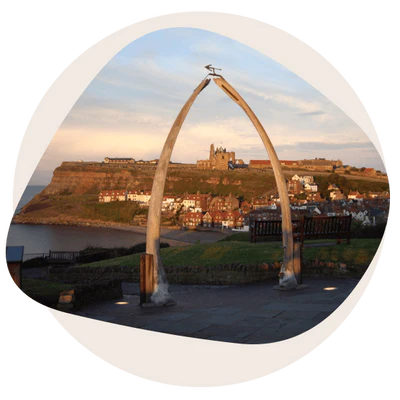 whitby whale bone