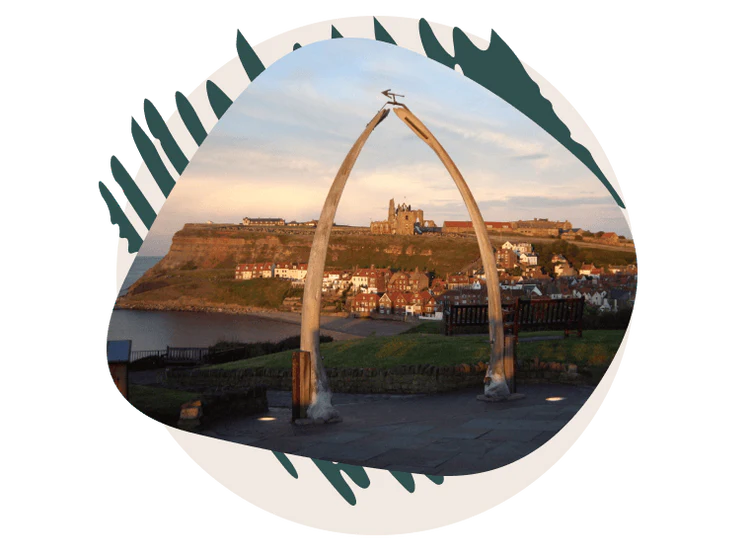 Whitby whale bone